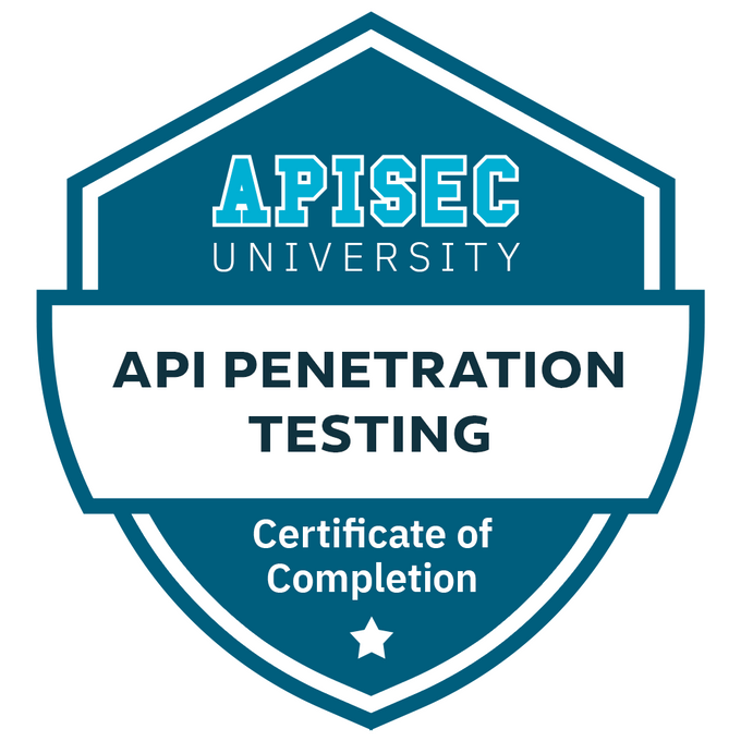 API Penetration Testing